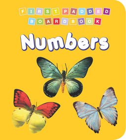Dreamland Publications First Padded Board Book - Numbers - 9788184514414