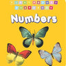 Dreamland Publications First Padded Board Book - Numbers - 9788184514414