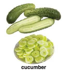 Dreamland Publications First Padded Board Book - Vegetables - 9788184514469