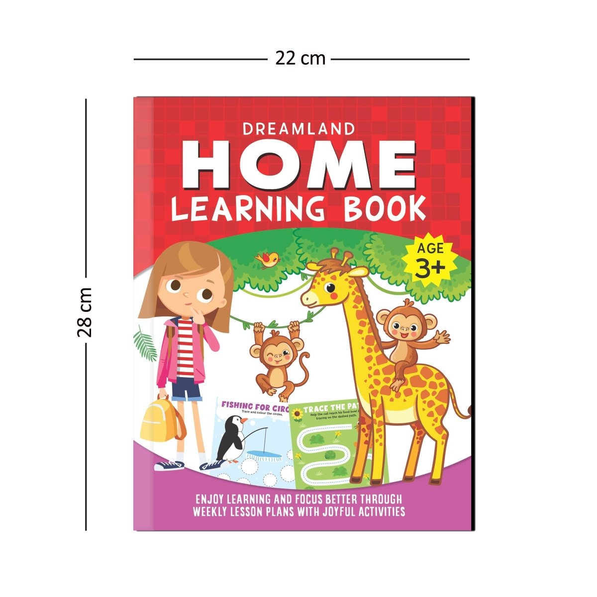 Dreamland Publications Home Learning Book With Joyful Activities - 3+ - 9789387177147