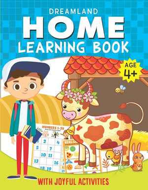 Dreamland Publications Home Learning Book With Joyful Activities - 4+ - 9789387177154
