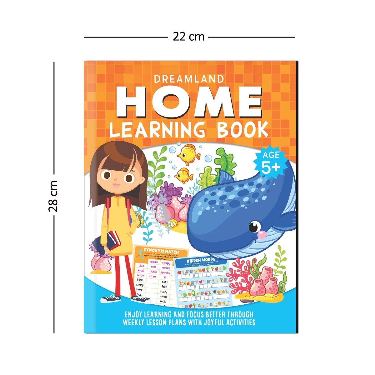 Dreamland Publications Home Learning Book With Joyful Activities - 5+ - 9789389281309