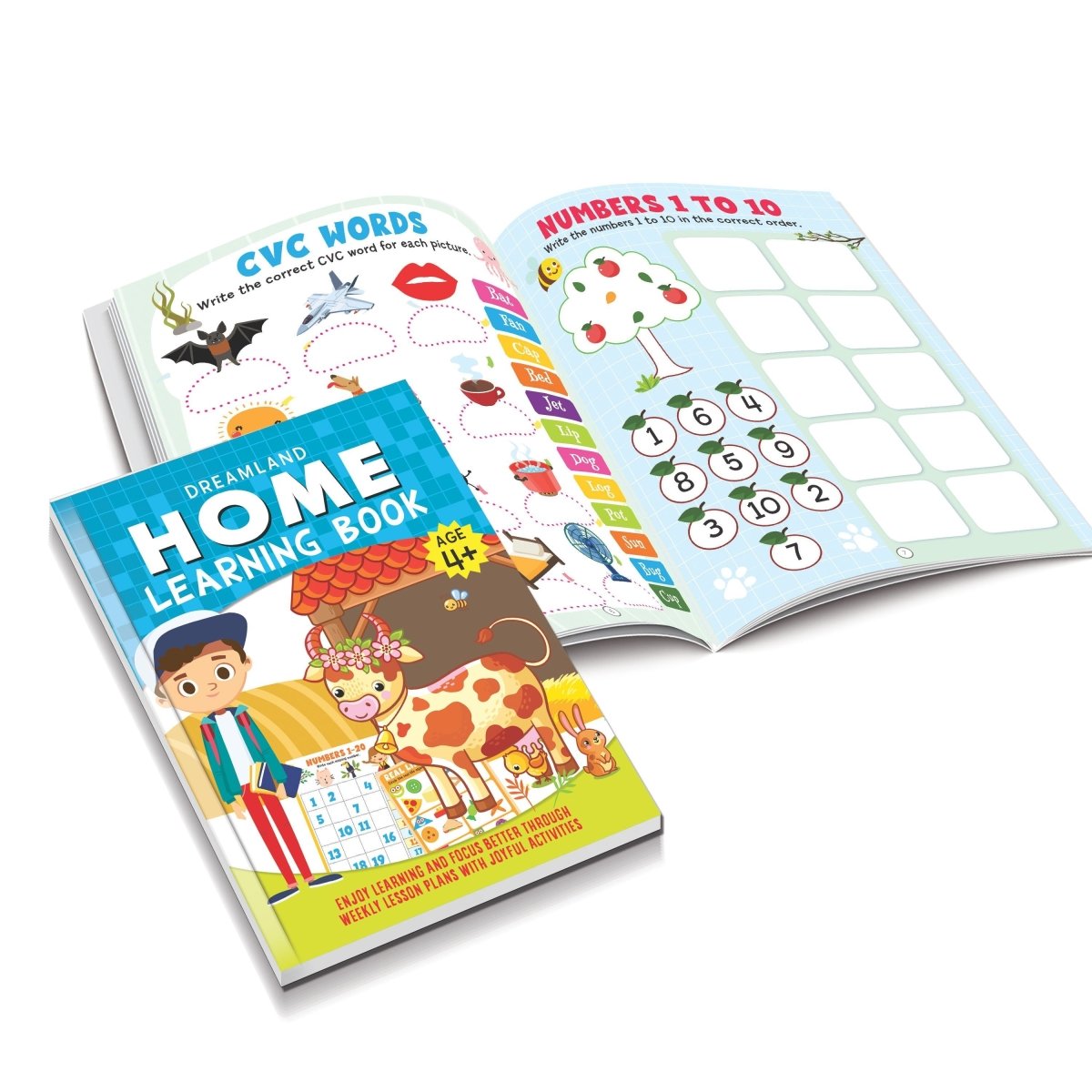 Dreamland Publications Home Learning Books Pack- A Pack of 4 Books - 9789395588928