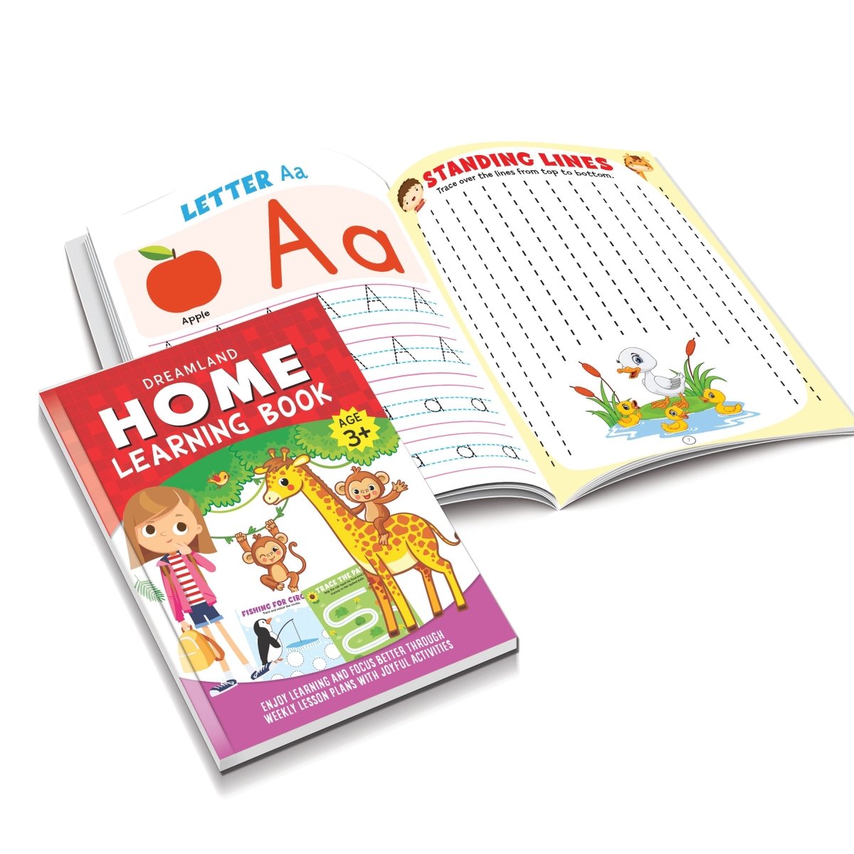 Dreamland Publications Home Learning Books Pack- A Pack of 4 Books - 9789395588928