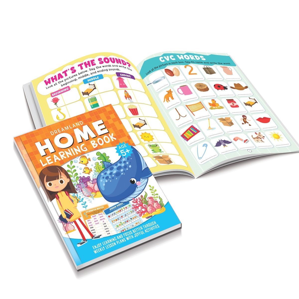 Dreamland Publications Home Learning Books Pack- A Pack of 4 Books - 9789395588928