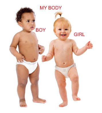Dreamland Publications Kiddy Board Book - My Body - 9788184514667