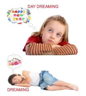 Dreamland Publications Kiddy Board Book - My Body - 9788184514667
