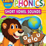 Dreamland Publications Learn With Phonics Book- 2 - 9789350895313