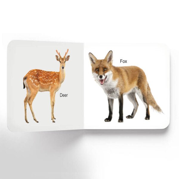 Dreamland Publications Lovely Board Books - Animals - 9781730165696
