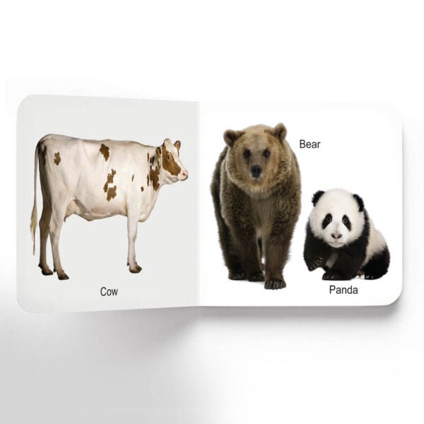 Dreamland Publications Lovely Board Books - Animals - 9781730165696