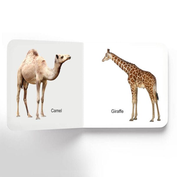 Dreamland Publications Lovely Board Books - Animals - 9781730165696
