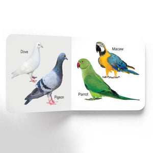 Dreamland Publications Lovely Board Books - Birds - 9781730165771