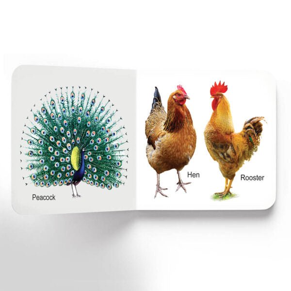 Dreamland Publications Lovely Board Books - Birds - 9781730165771