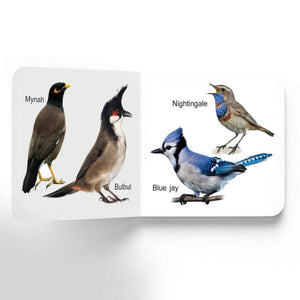 Dreamland Publications Lovely Board Books - Birds - 9781730165771