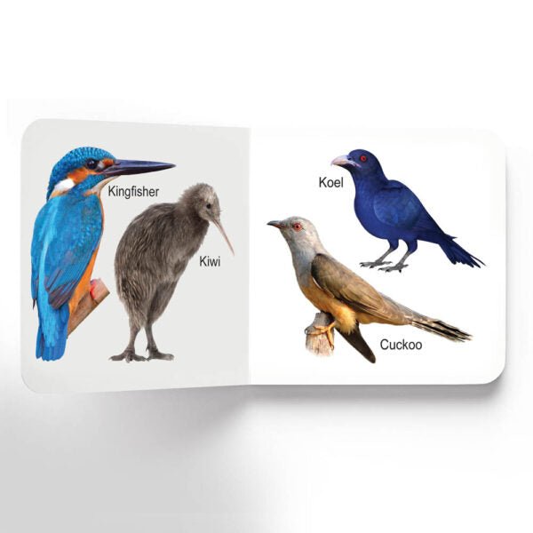 Dreamland Publications Lovely Board Books - Birds - 9781730165771