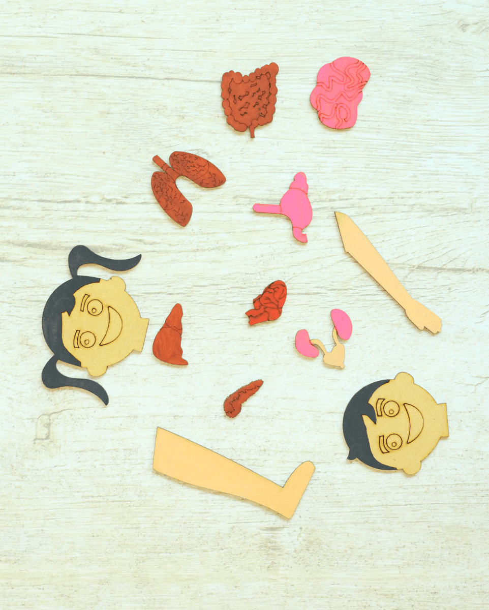 Earthy Tweens Human Body Anatomy Puzzle Set - ET1