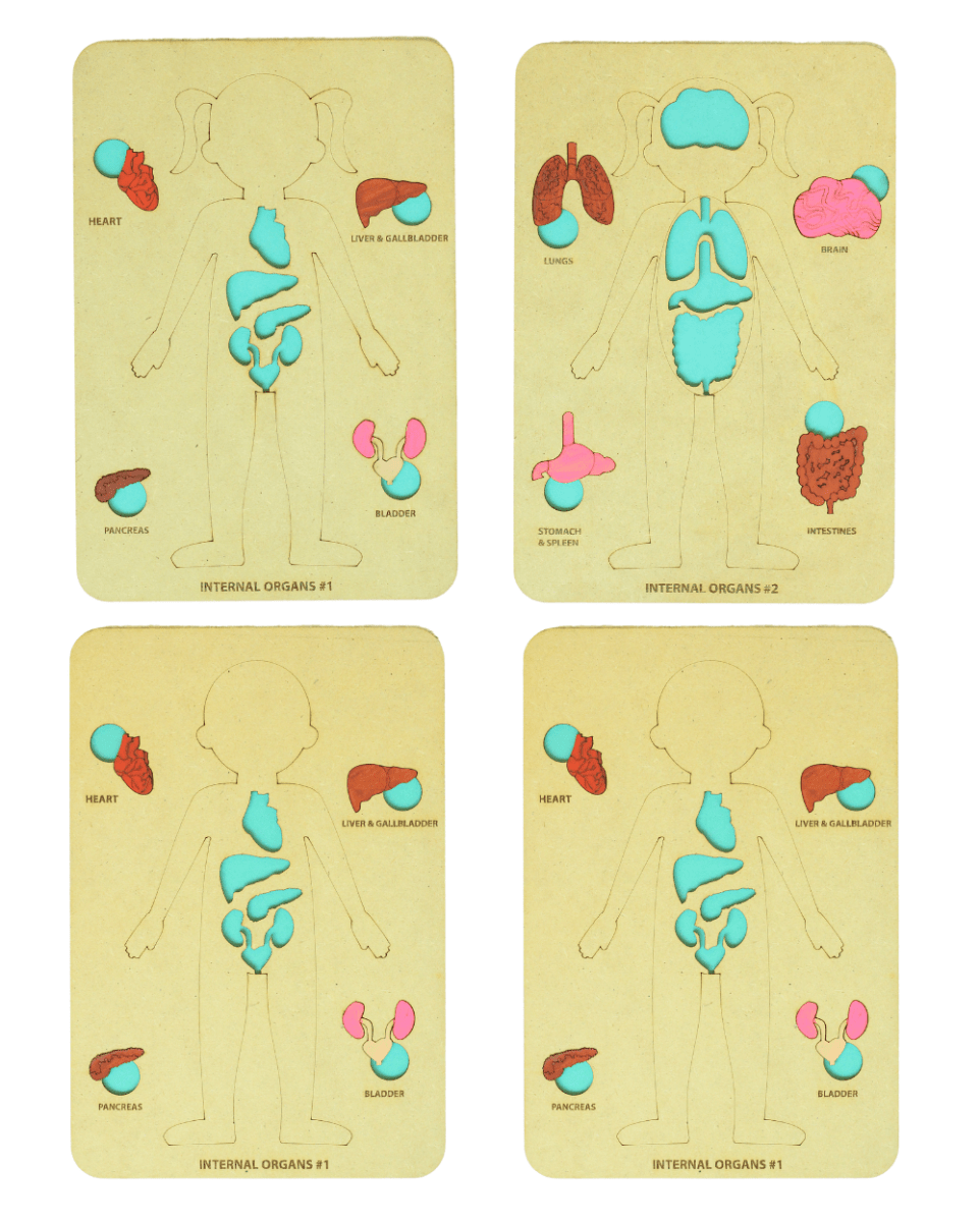 Earthy Tweens Human Body Anatomy Puzzle Set - ET1