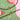 Elegante Kids Coco Melon Nazariya - NZ5031