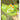 Fluoroscent 3d Long Neck Dino Slip on Clogs, Summer/Monsoon all season Footwear for Toddlers & Kids - Little Surprise BoxFluoroscent 3d Long Neck Dino Slip on Clogs, Summer/Monsoon all season Footwear for Toddlers & Kids