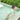 Frilly Avacado Print Swimwear +Swim Cap for Toddlers & Kids - Little Surprise BoxFrilly Avacado Print Swimwear +Swim Cap for Toddlers & Kids
