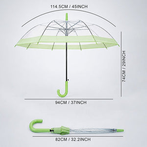 Green Big Border Transparent Umbrella for Teens & Adults - Monsoon Wear
