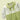 Green & Cream Butterfly full sleeves jumpsuit style Romper for Tiny Toddlers - 6 - 12 Months Kids Clothing