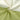 Green & Cream Butterfly full sleeves jumpsuit style Romper for Tiny Toddlers - 6 - 12 Months Kids Clothing