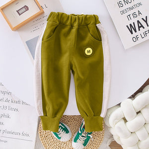 Green Dino Broach Designed Jacket 2 Pcs Track Suit Set For Toddlers And Kids - 2 - 3 Years Kids Clothing