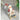 Grey Red Checks Sitting Sledge Santa Christmas Table Décor & Christmas ornaments - 