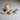 Gulab Tribe Handcrafted Wooden Mini Tea Set - GTS - 01