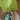 Happy Dog Green & White 2 Pcs Dungary Style Set For Toddlers And Kids - 1 - 2 Years Kids Clothing