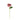 Happy Threads Crochet Cabbage Rose dark pink| The Mom Store - Single stem flowers