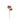 Happy Threads Crochet Cabbage Rose dark pink| The Mom Store - Single stem flowers