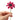 Happy Threads Crochet Daisy Flower red| The Mom Store - Single stem flowers