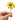 Happy Threads Crochet Daisy Flower yellow | The Mom Store - Single stem flowers