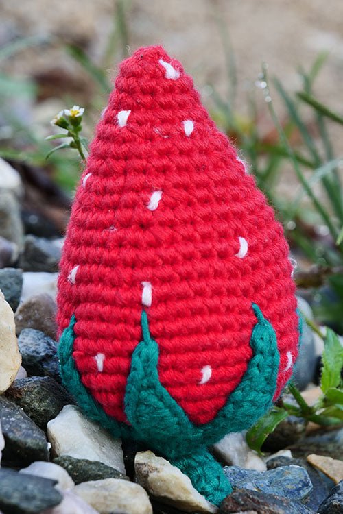 Himalayan Blooms chrochet strawberry toys - HBty - st - 00