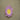 Himalayan Blooms Crochet Lotus Tea Light Holder and Rangoli - Tea light holder