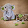 Himalayan Blooms Sitting Elephant Stuffed Plush Toy And Rakhi - combo - elephant