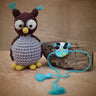 Himalayan Blooms Sleepy Owl Plush Toy and rakhi - combo - owl