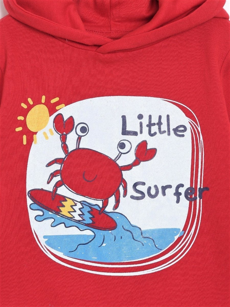 Hooded Sweatshirt Combo of 3-Little Monster-Little Surfer-My Little Lion - KDSWT-3-LMLM-0-6