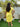 I am Eggspecting Oversized Maternity T Shirt Dress - NW-SC-IAMEG-S