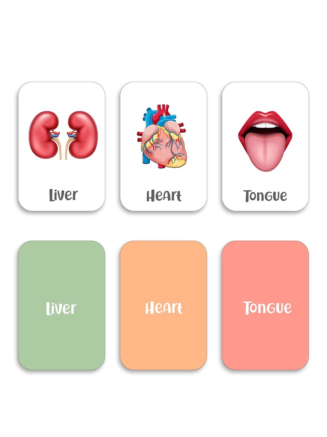 iLearnNgrow Baby's First Body Parts Flash Cards - Baby's First Body Parts Flash Cards