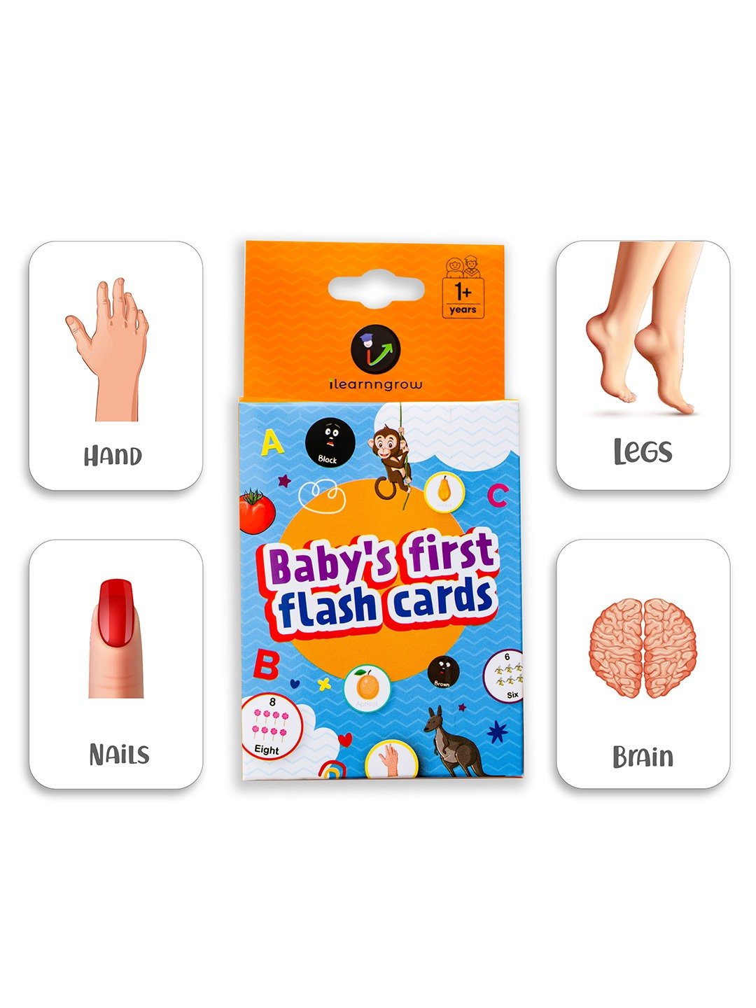 iLearnNgrow Baby's First Body Parts Flash Cards - Baby's First Body Parts Flash Cards