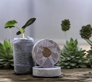 Ilearnngrow DIY Gardening Kit - ILGDIYGRK