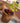 Ilearnngrow DIY Gardening Kit - ILGDIYGRK