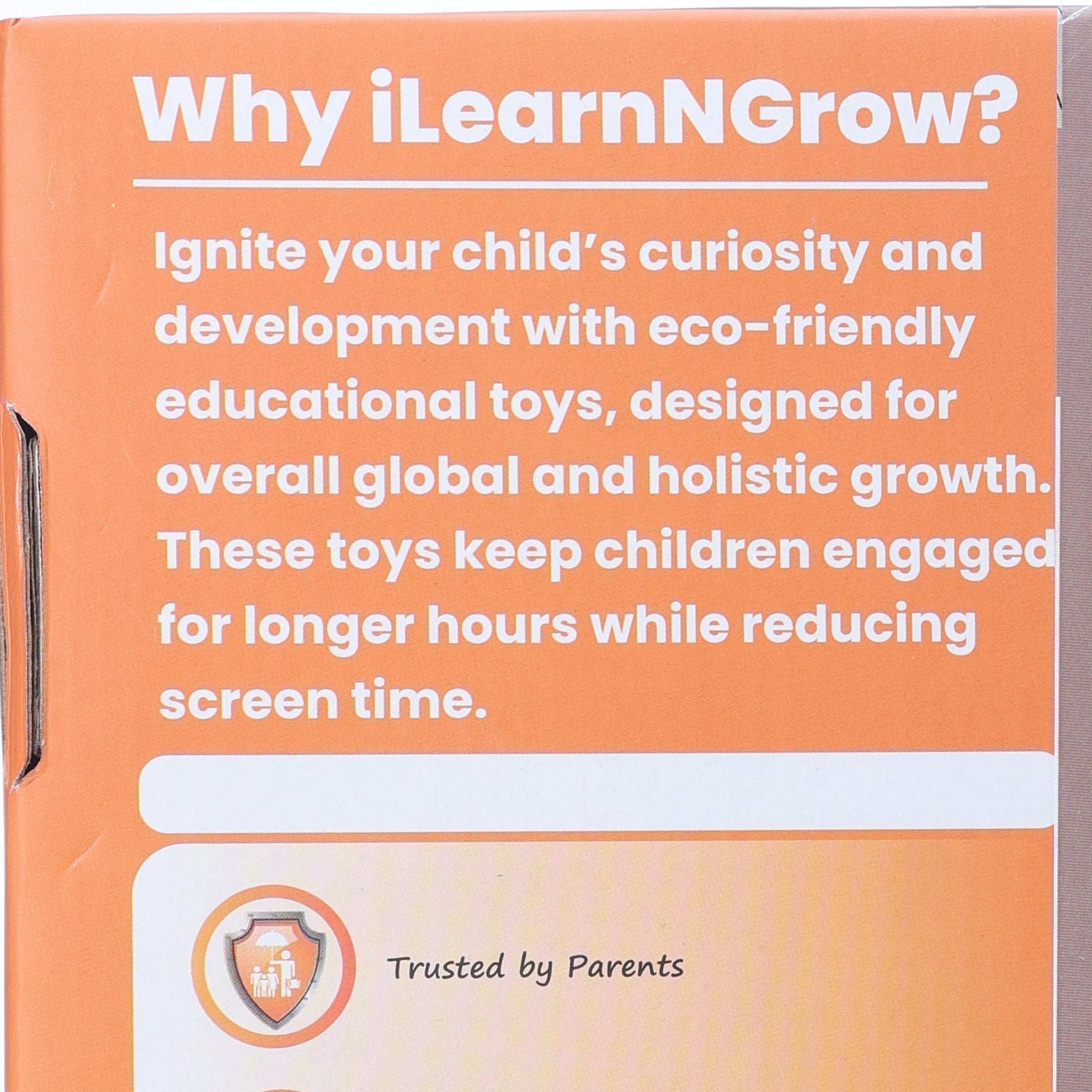 iLearnNgrow DIY Lippan Art Kit - ILGD024