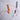 51 - ilearnngrow Learning Solutions Pvt Ltd