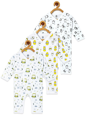 #color_penguin-owl-chicken