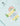 Infant Set Combo of 2- Born This Way & Bee Happy - IPS2-ET-BWBH-0-3