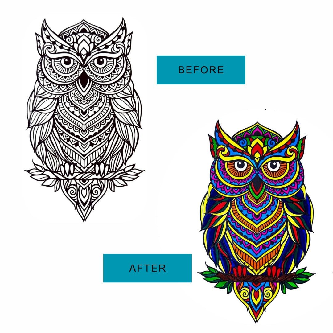 JoGenii Mandala Affirmations Poster Coloring Kit – Animal Theme - Art & Craft